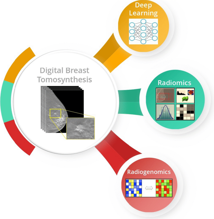 Everything You Should Need to Learn about Radiomics Learn about Radiomics