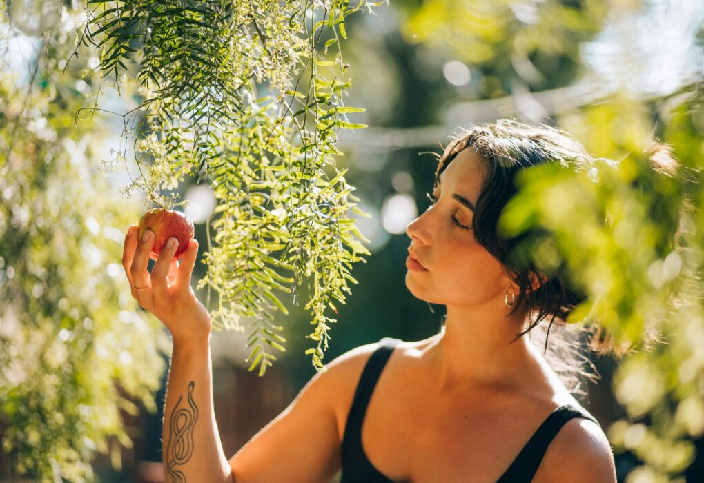 Explore ThreeTrees Health