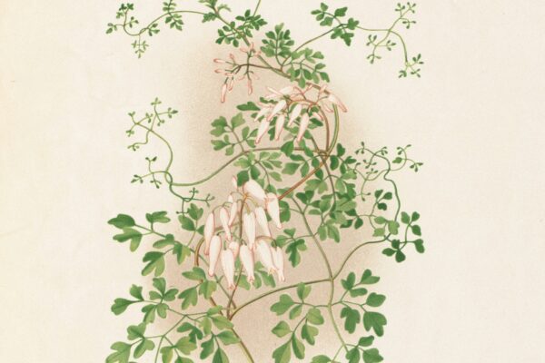 larry rosenberger san quentin california