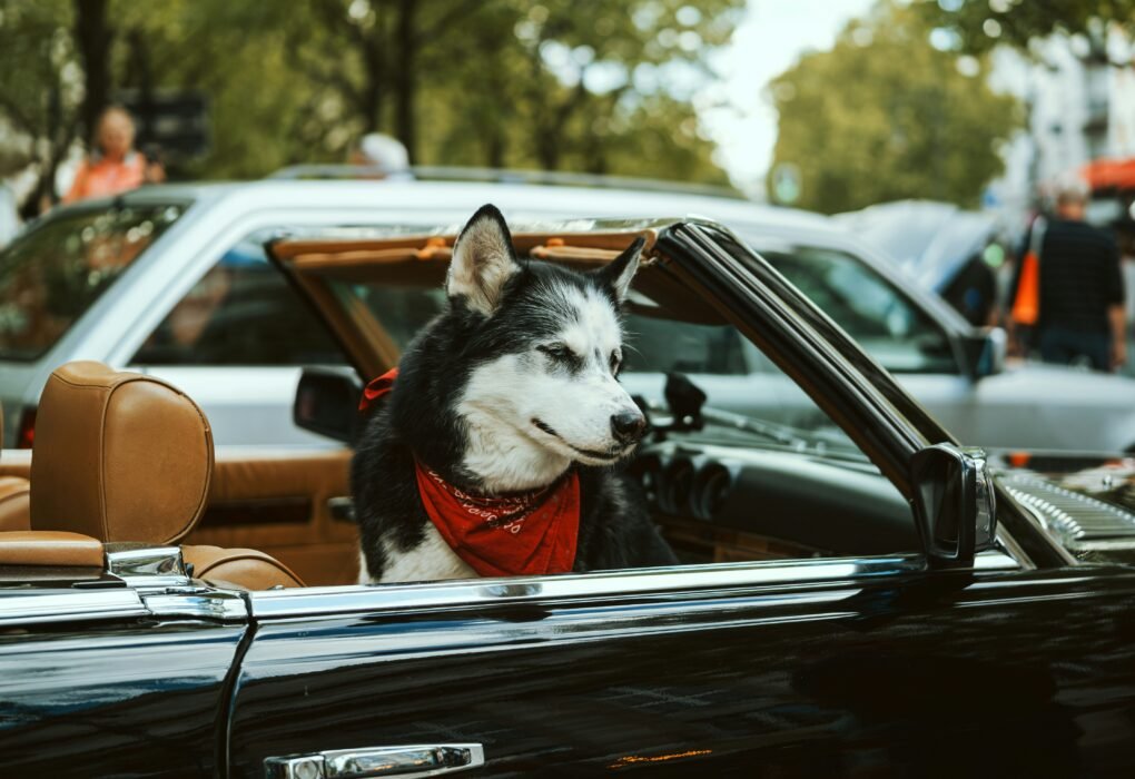 Reservoir Dogs 4 Kochece Mixtape