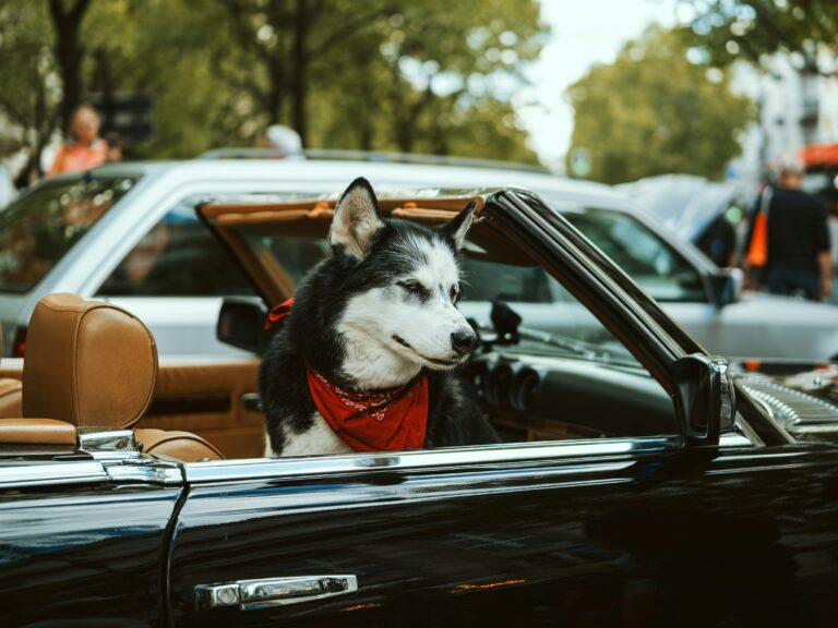 Reservoir Dogs 4 Kochece Mixtape