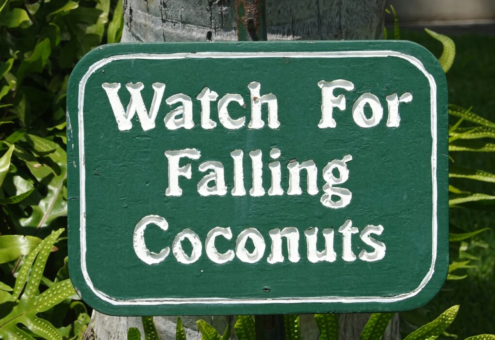 Ultimate List of Jokes About Coconuts and Coconut Puns