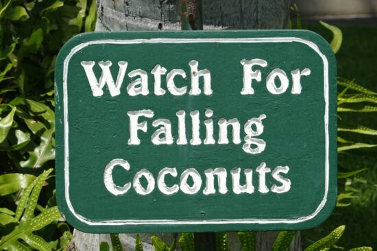 Ultimate List of Jokes About Coconuts and Coconut Puns