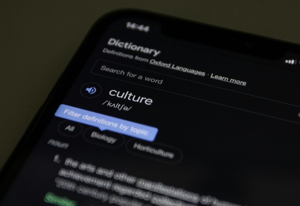 STSU Meaning Acronym Guide for Text Messages & Internet Slang
