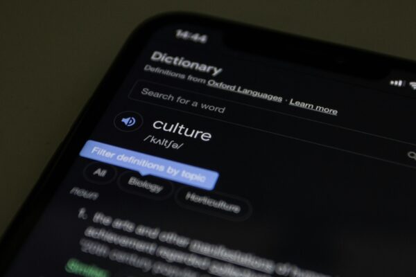 STSU Meaning Acronym Guide for Text Messages & Internet Slang