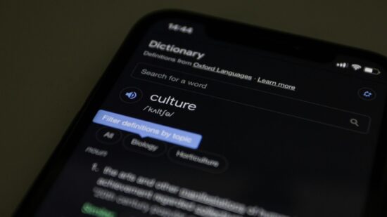 STSU Meaning Acronym Guide for Text Messages & Internet Slang