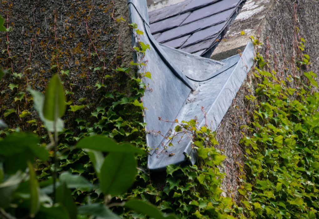 Best Downspout Guards for Gutters