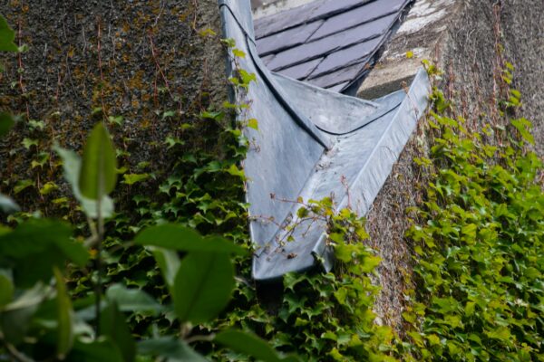 Best Downspout Guards for Gutters