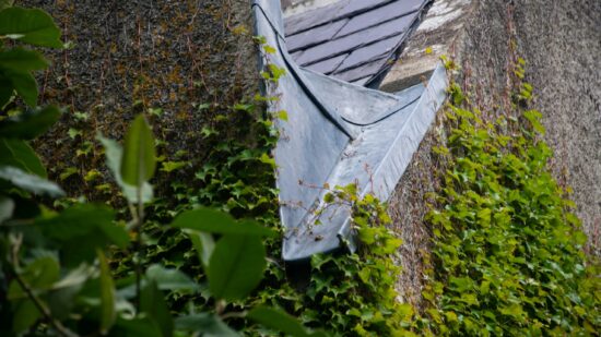 Best Downspout Guards for Gutters