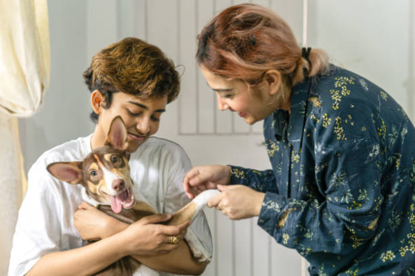 Pawp Pet Insurance